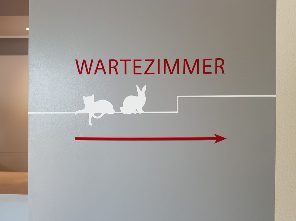 Katzenfreundliche Praxis Petersen