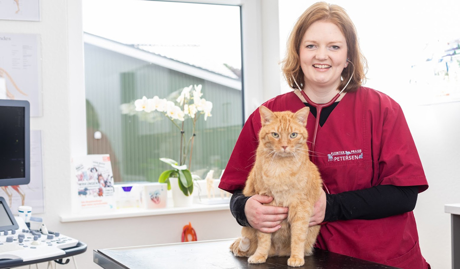 Kleintierpraxis Katharina Petersen in Winnert allgemeine Leistungen Zahnheilkunde